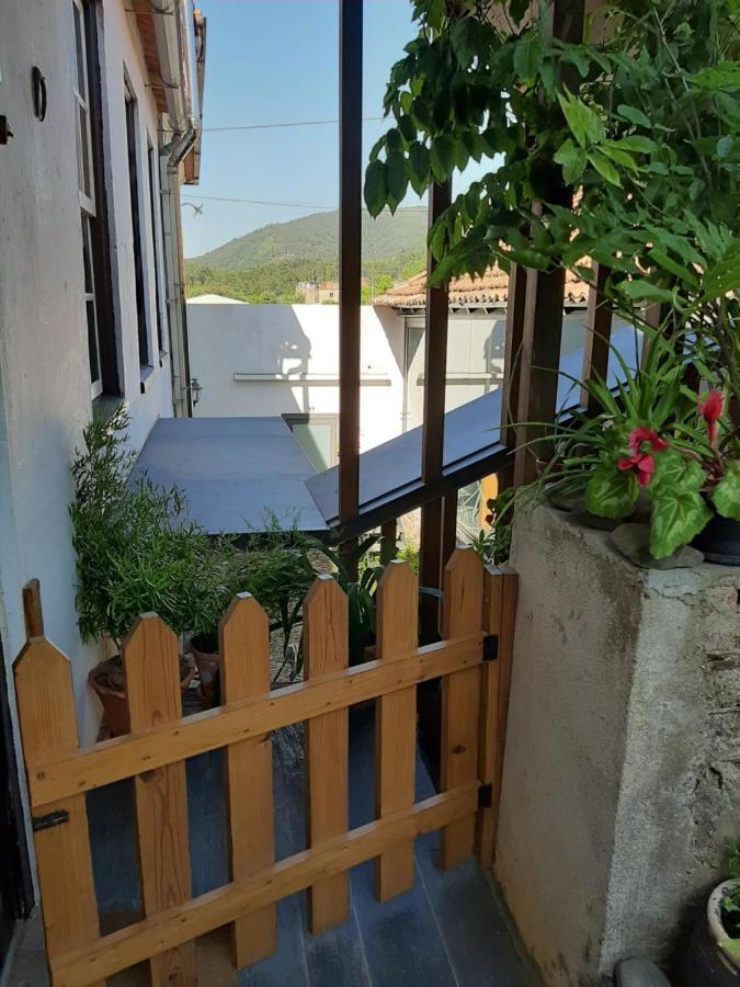 Casa Do Sr. Falcao Miranda do Corvo Luaran gambar