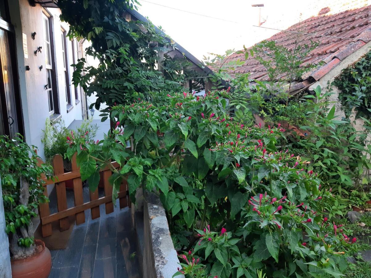 Casa Do Sr. Falcao Miranda do Corvo Luaran gambar