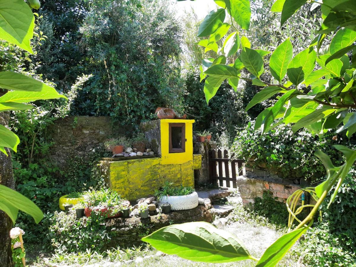 Casa Do Sr. Falcao Miranda do Corvo Luaran gambar
