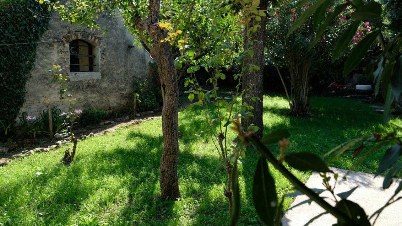 Casa Do Sr. Falcao Miranda do Corvo Luaran gambar